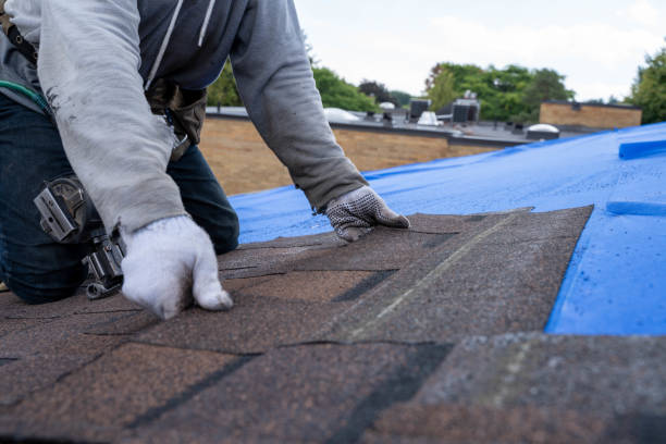 Best Roof Waterproofing Services  in Combine, TX